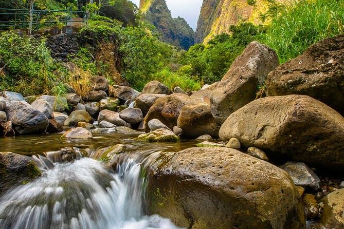 Cruise Ship Shore Excursion: Kahului Heavenly Hana Tour - Kaumahina State Wayside Park and the first change in scenery