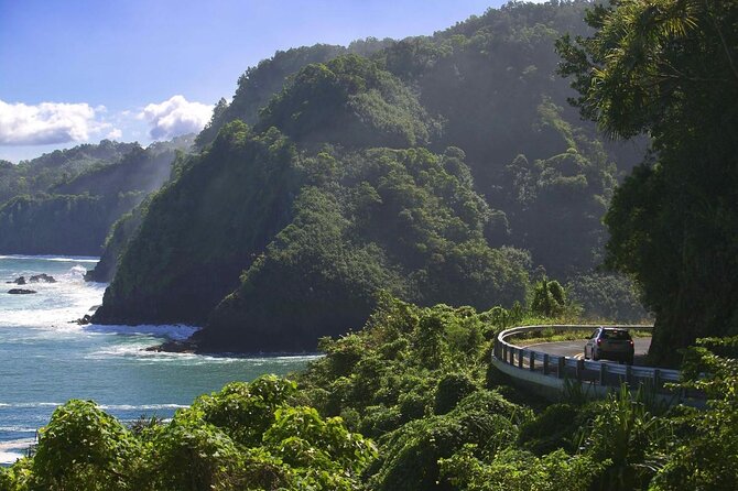 Deluxe Halfway to Hana: Private Tour from Kahului - Key points about the private Halfway to Hana tour