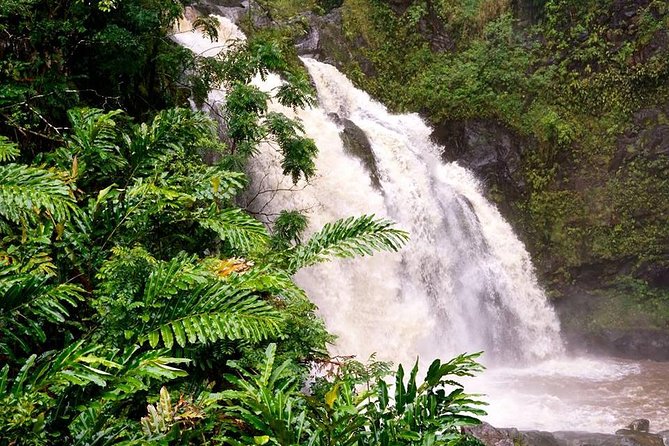 Deluxe Halfway to Hana: Private Tour from Kahului - Tide pools, black sand, turtles, and coastal wildlife