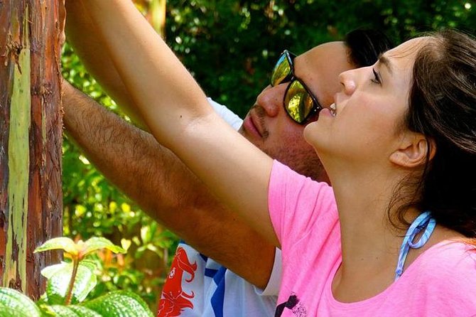 Deluxe Halfway to Hana: Private Tour from Kahului - Banana bread and local food stops