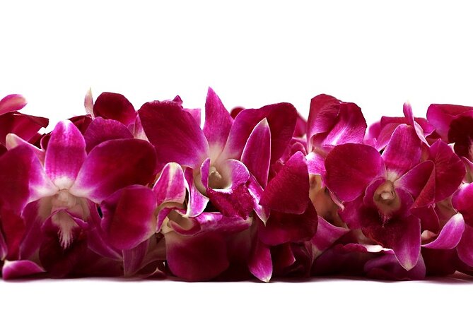 Deluxe Orchid Lei Greeting (Maui, Kahului Airport, OGG) - Key details before you book