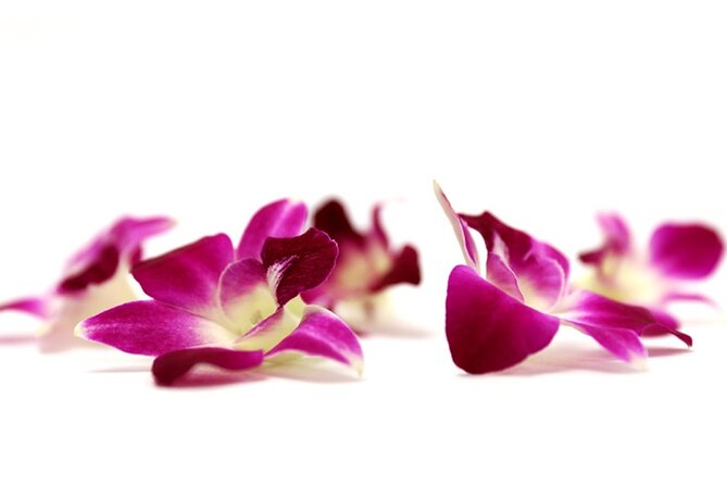 Deluxe Orchid Lei Greeting (Maui, Kahului Airport, OGG) - Timing your arrival at OGG