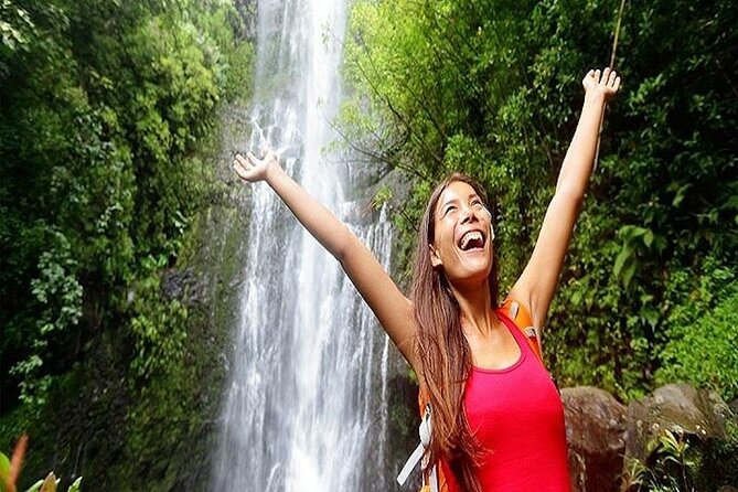 Deluxe Road to Hana Rainforest and Waterfall Experience from Maui - Kaumahina State Wayside Park and a useful rest break