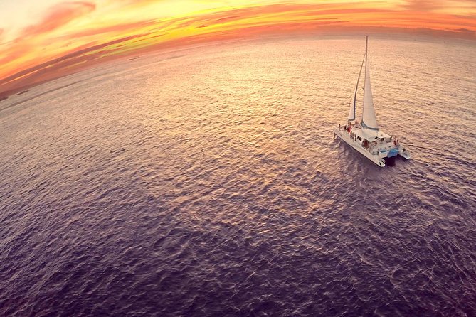 Deluxe Whale Watching Sail on Maui - Why the whales make this Maui cruise special