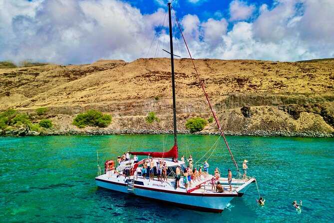 Discover the Magic of Coral Garden’s Turtle Town - Maalaea Harbor - Seasonal whale watching adds a second wildlife experience
