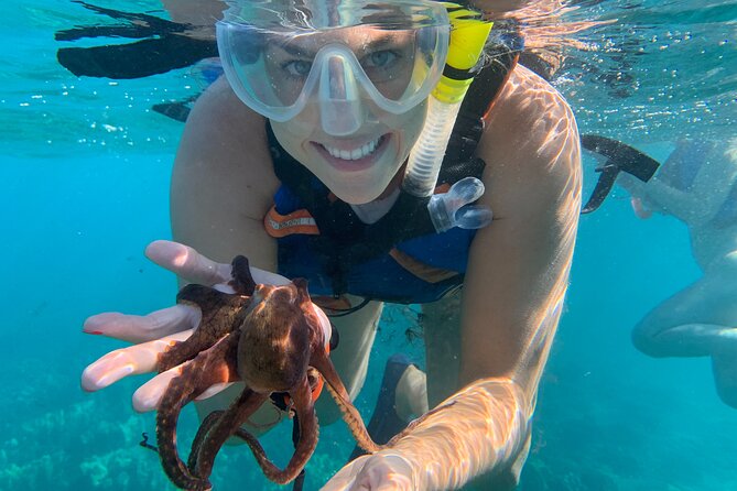 E-Scooter Snorkel With Photo and Video At Turtle Town - Why the scooter changes Turtle Town