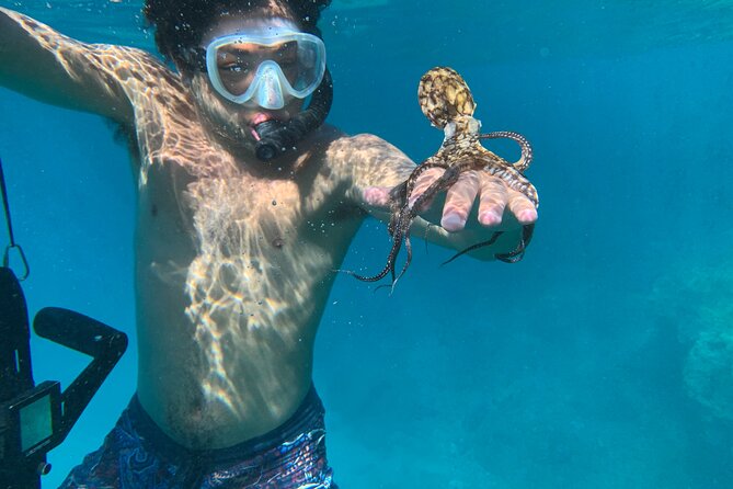 E-Scooter Snorkel With Photo and Video At Turtle Town - Is $159 a fair price?
