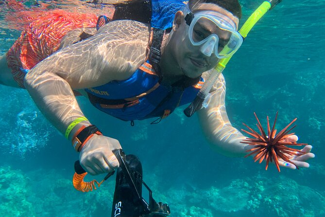 E-Scooter Snorkel With Photo and Video At Turtle Town - Who will enjoy this most