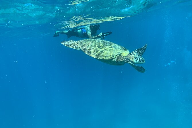 E-Scooter Snorkel With Photo and Video At Turtle Town - Starting at Makena Landing at 7:30 a.m.