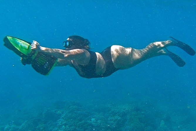 Eco Sea Scooter Guided Beach Tour From The Famous Kapalua Bay - Turtles, fish, and the condition of the reef