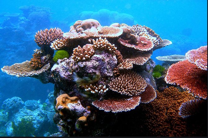 Eco Sea Scooter Guided Beach Tour From The Famous Kapalua Bay - Who will enjoy this most