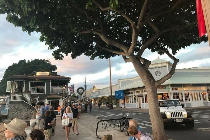 Elite Private Tour - A private Maui day instead of a fixed bus route