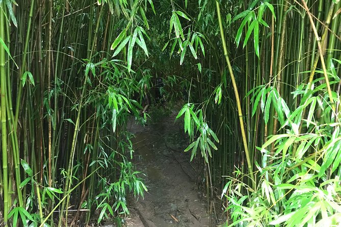 Elite Private Tour - The Road to Hana without taking the wheel