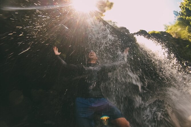 Epic Waterfall Adventure, the Best of Maui - Meeting in Kahului and setting out with your guide