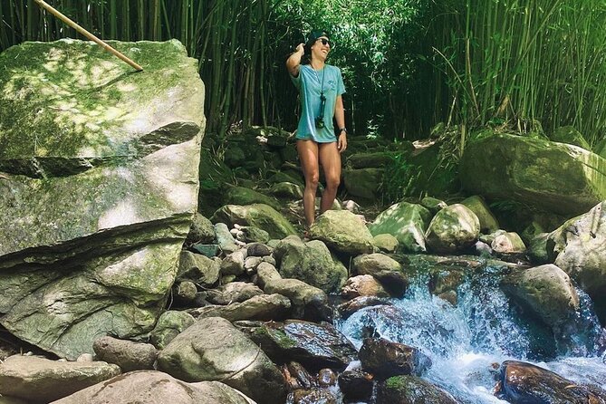 Epic Waterfall Adventure, the Best of Maui - Rope swings and optional cliff jumps
