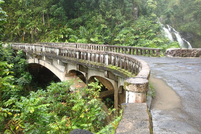 Famous Road to Hana Waterfalls, Black Sand Beach & Lunch - Keʻanae Point brings the strongest coastal views