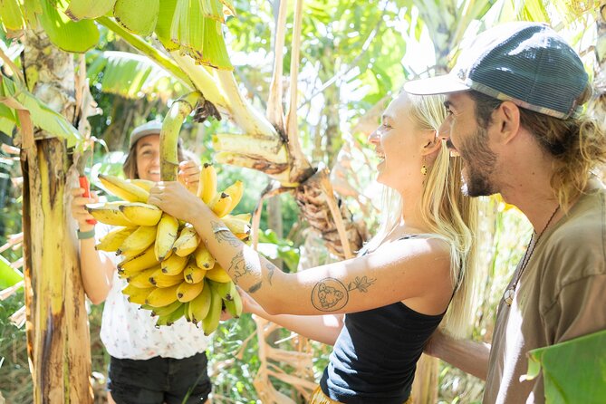 Farm to Taco: A Farm to Table Cooking Class - Why this Maui cooking class feels different