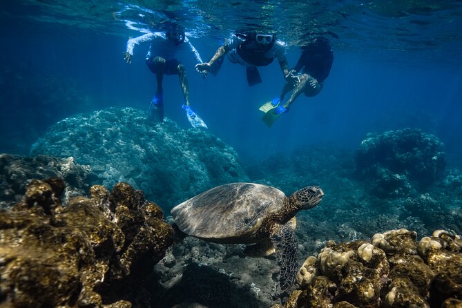 First Timers and Non-Swimmers Snorkeling Experience in Wailea - Why the guide makes the difference