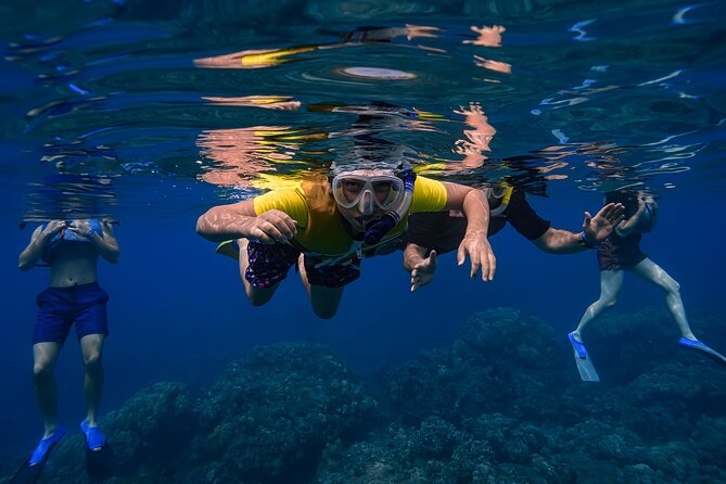 First Timers and Non-Swimmers Snorkeling Experience in Wailea - Photos, video, and the real cost