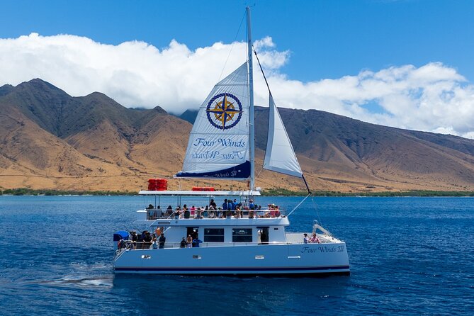 Four Winds Maui Afternoon Snorkel Tour to Coral Gardens - What the Boat Size Means for You
