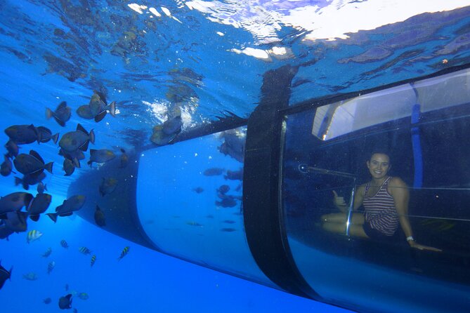 Four Winds Maui Afternoon Snorkel Tour to Coral Gardens - Who Will Enjoy This Afternoon Best?