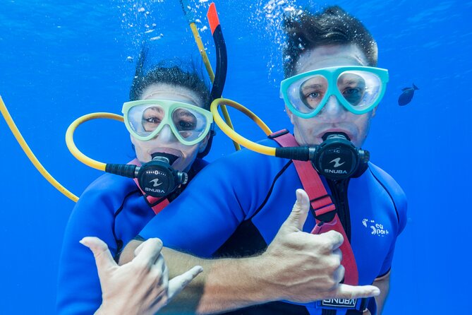 Four Winds Maui Afternoon Snorkel Tour to Coral Gardens - Coral Gardens and the Search for Turtles