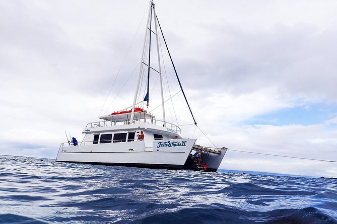 Four Winds Molokini Snorkeling Tour from Maalaea Harbor - Breakfast, boat space, and the ride to Molokini