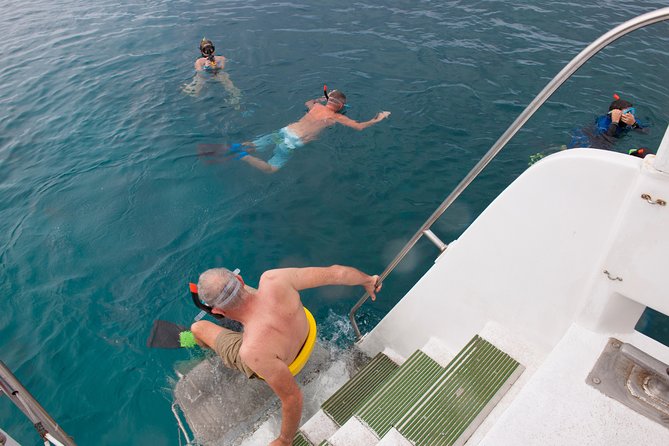 Four Winds Molokini Snorkeling Tour from Maalaea Harbor - Why the glass-bottom viewing room matters