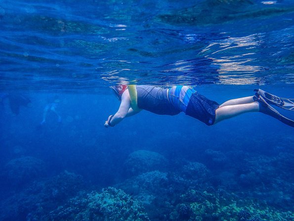 Four Winds Molokini Snorkeling Tour from Maalaea Harbor - How the crew handles safety and changing weather