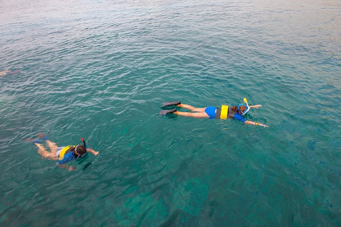Four Winds Molokini Snorkeling Tour from Maalaea Harbor - Is the $202.59 price a good value?