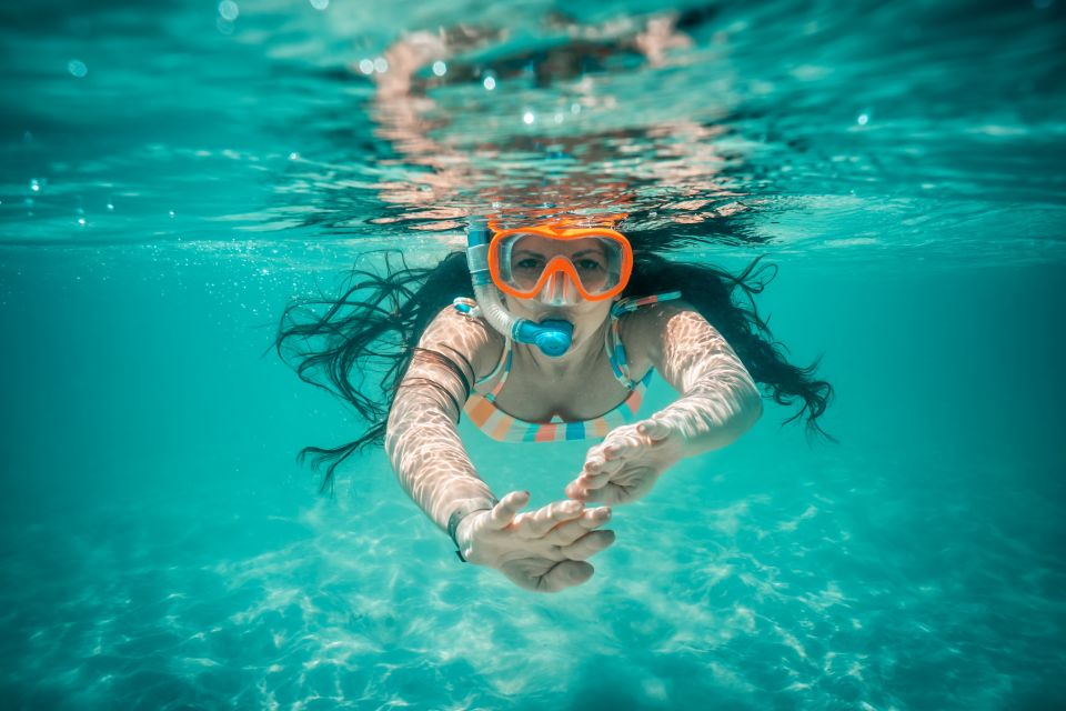 From Ka'anapali: West Maui Half-Day Snorkel Tour w/ Food - Key points to know before you book