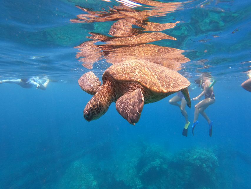 From Ka'anapali: West Maui Half-Day Snorkel Tour w/ Food - A full half-day from Whalers Village to west Maui