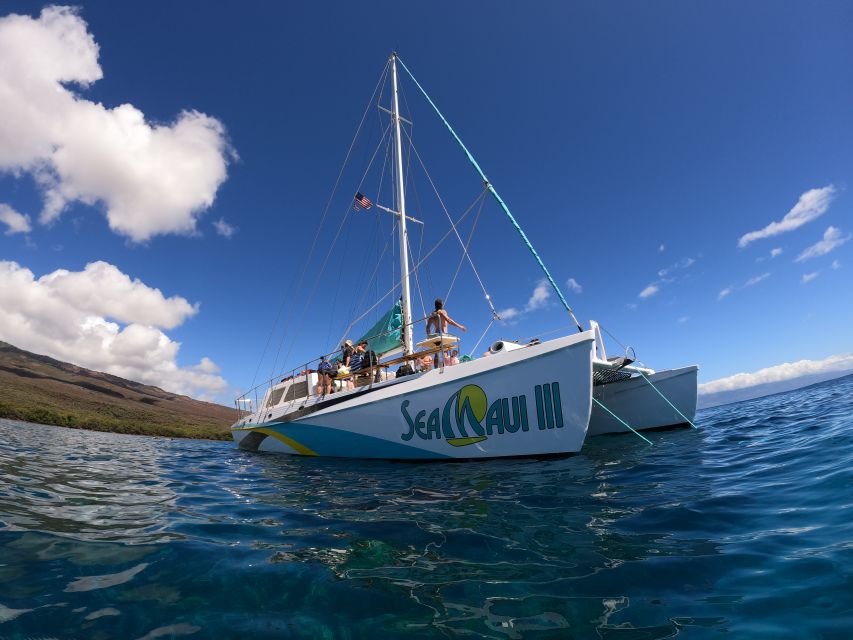 From Ka'anapali: West Maui Half-Day Snorkel Tour w/ Food - Breakfast with dolphins and winter whales