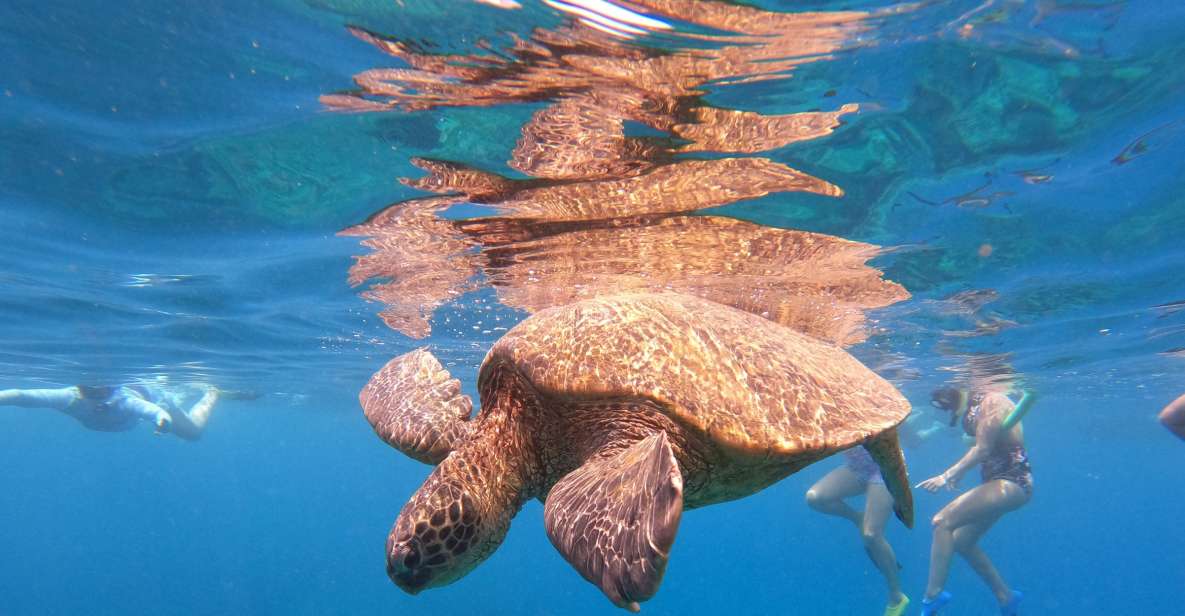 From Ka'anapali: West Maui Half-Day Snorkel Tour w/ Food - Boarding the beach-loading catamaran