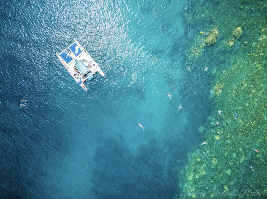 From Kaanapali: Afternoon West Maui Snorkeling w/ Drinks - Food, drinks, and time on the catamaran