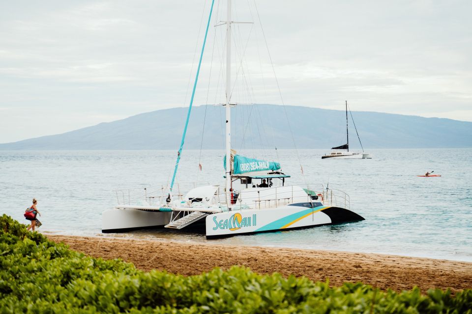 From Kaanapali: Afternoon West Maui Snorkeling w/ Drinks - Should you book Sea Maui’s afternoon snorkeling trip?