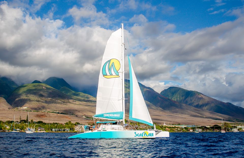 From Kaanapali: Afternoon West Maui Snorkeling w/ Drinks - What the afternoon schedule feels like
