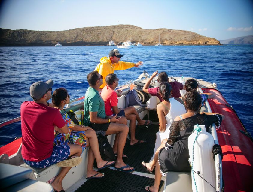 From Kihei: Molokini Crater and Turtle Town Snorkeling - Key points at a glance