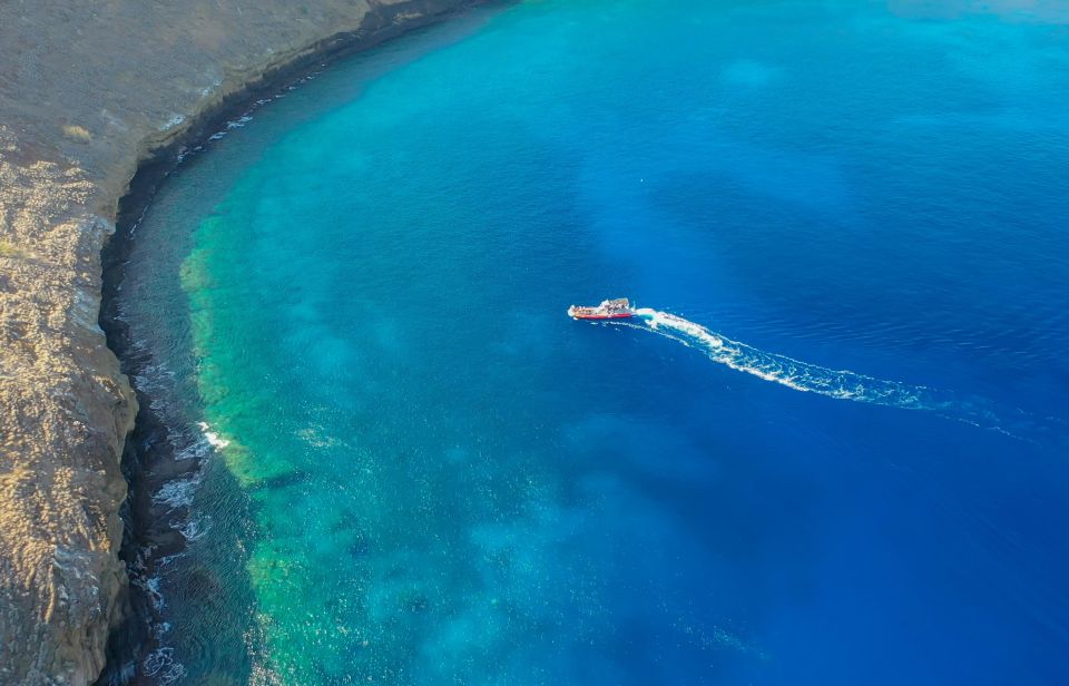 From Kihei: Molokini Crater and Turtle Town Snorkeling - Why this three-hour Maui trip works