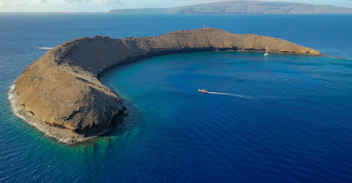 From Kihei: Molokini Crater and Turtle Town Snorkeling - Turtle Town at Makena Bay