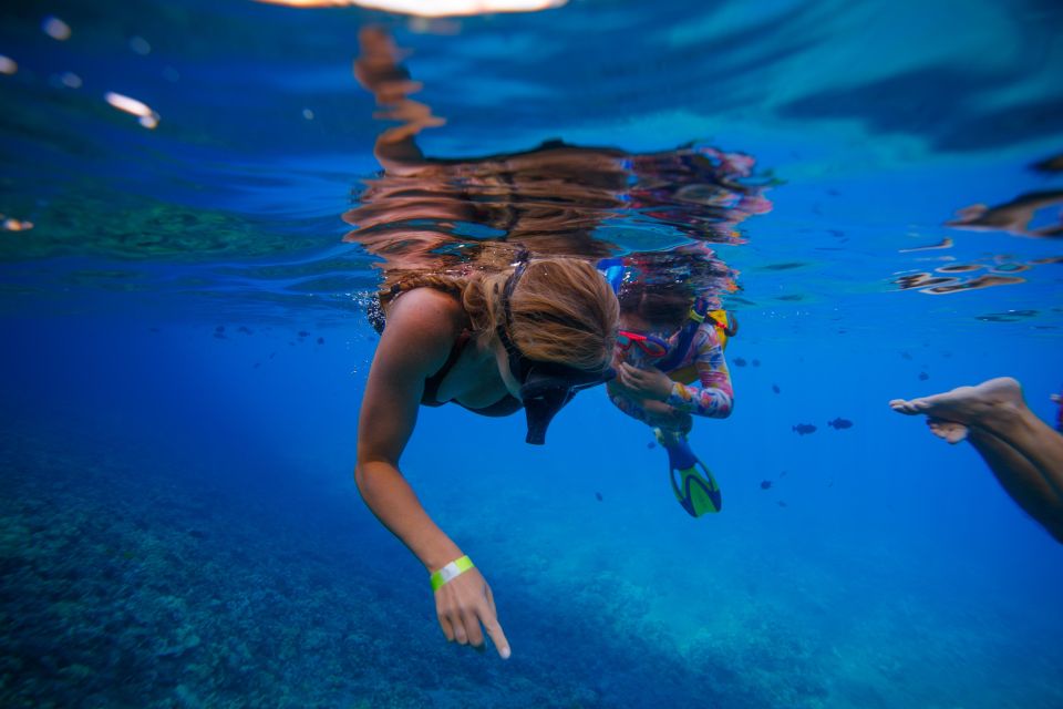 From Kihei: Molokini Crater and Turtle Town Snorkeling - The crew makes a practical difference