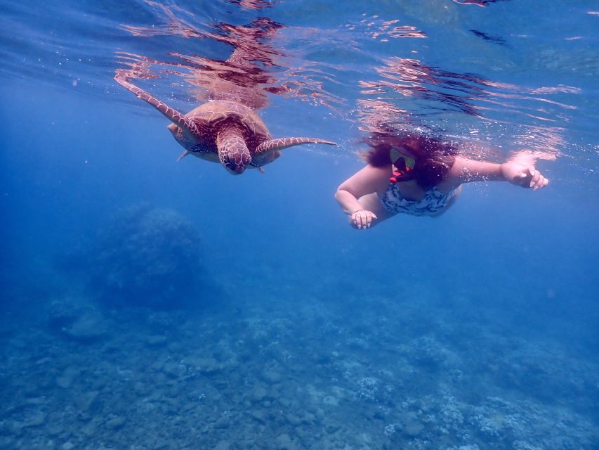 From Kihei: Molokini Crater and Turtle Town Snorkeling - Timing, cancellation, and value