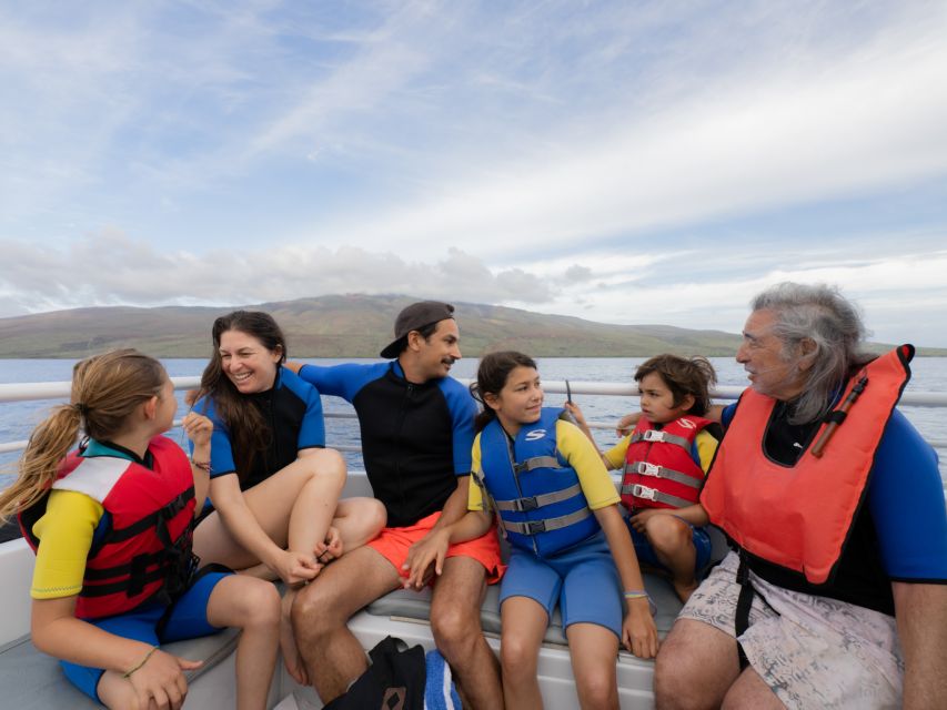 From Ma'alaea: Afternoon Whale Watch Tour Aboard the Malolo - Should you book this whale watch?
