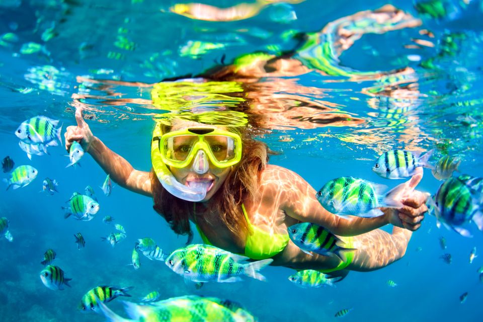 From Ma'alaea: AM Turtle Town Snorkel Aboard Quicksilver - Should you book the Quicksilver Turtle Town cruise?