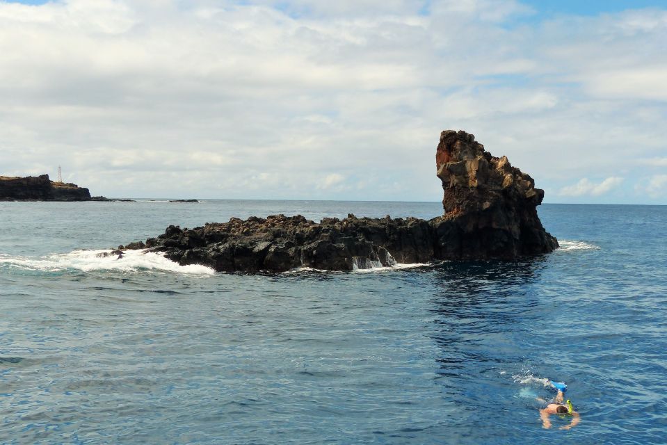 From Ma'alaea: AM Turtle Town Snorkel Aboard Quicksilver - What $85 gets you