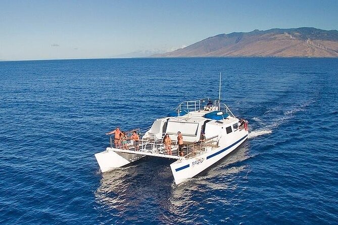 From Ma'alaea Harbor: Sunset Whale Watch Tour Aboard the Malolo - Key points to know before sailing