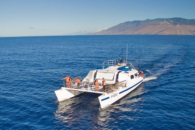 From Ma'alaea Harbor: Whale Watch Cruise Aboard the Malolo - What the Malolo Catamaran Feels Like Underway