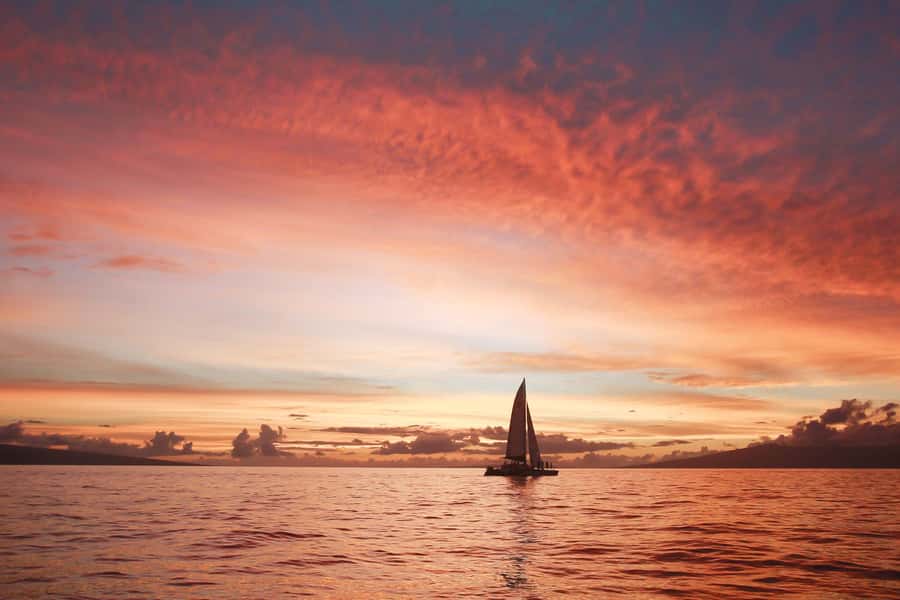 From Ma'alaea: Maui Sunset Cruise with Drinks and Snacks - Sunset seating, music, and the social mood