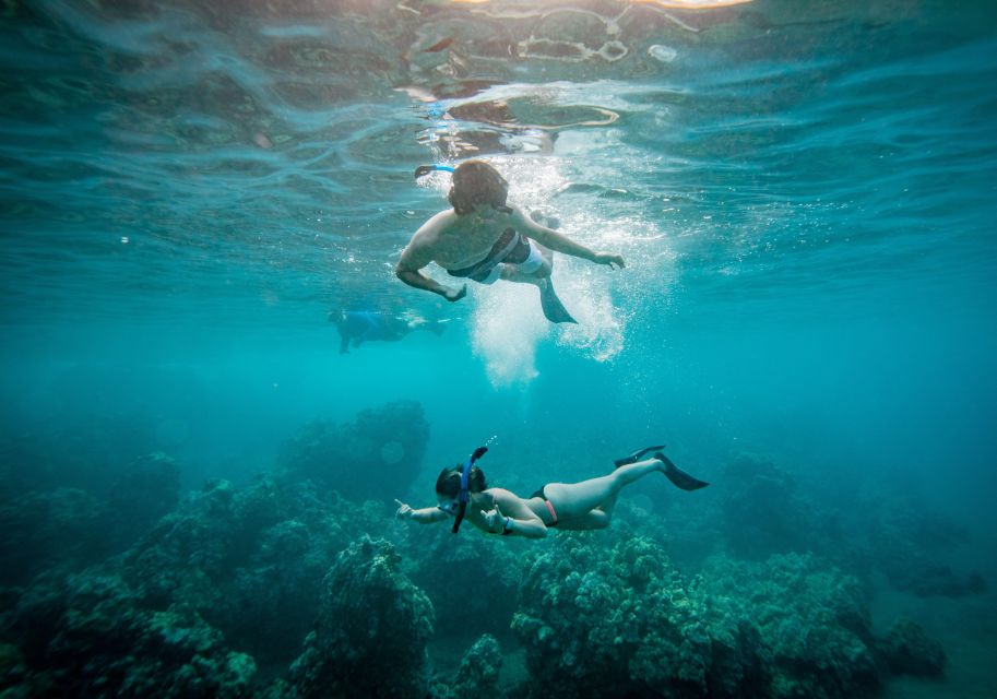 From Maalaea: Turtle Town 3-Hour Snorkel and Sail Adventure - Meeting the Winona at Maalaea Harbor