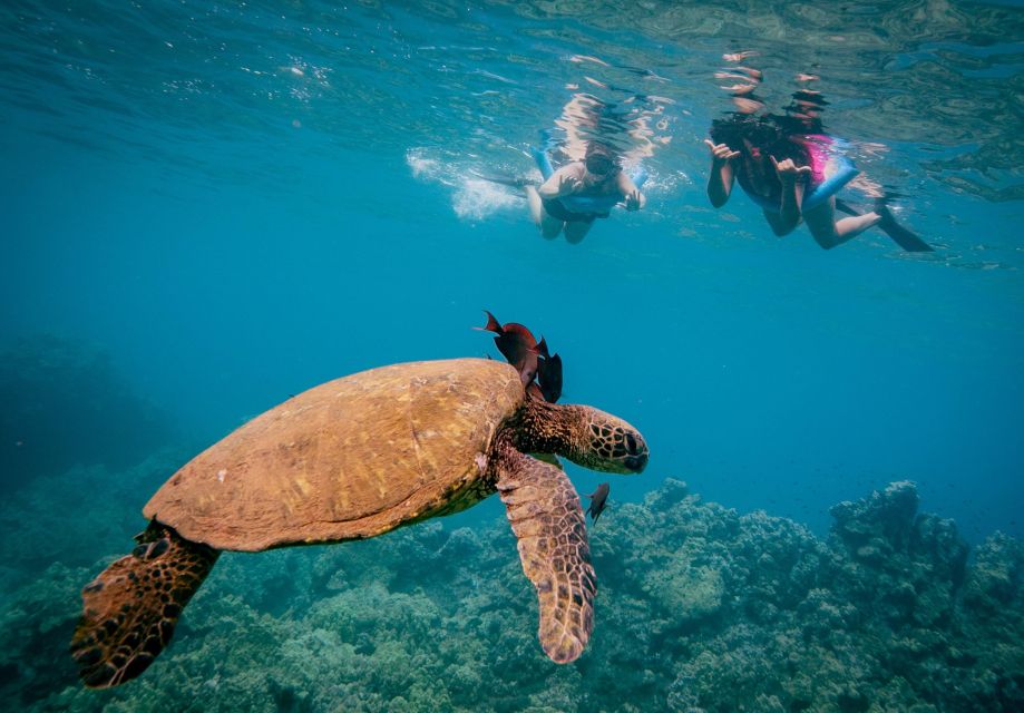 From Maalaea: Turtle Town 3-Hour Snorkel and Sail Adventure - Sailing the coast aboard the Winona